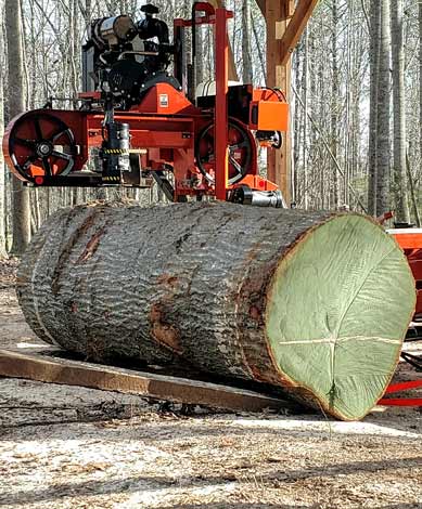 Portable Mobile Sawmill Service in North Carolina