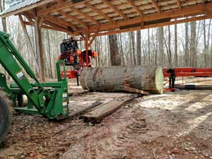 Oversize logs to big for portable mill can be brought to Pittsboro location for processing into your custom ideas.
Logs of average diameter can also be delivered and milled here to avoid setup fee at your location